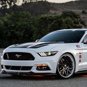 Meet your Posher, William